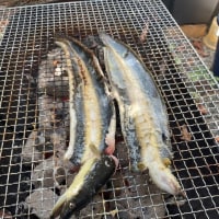 タキガワ食堂～今日は鰻でスタミナＵＰ！～