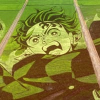 鬼滅の刃の田んぼアート🌾