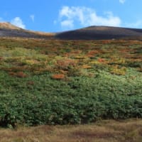 錦秋の秋田駒ヶ岳へ。(その2)