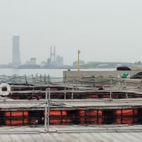 釣り堀サザン