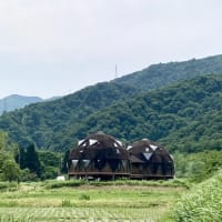 お初田植えだよ