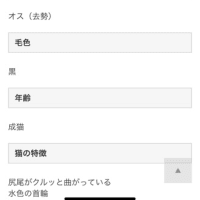 迷子ネコちゃん。