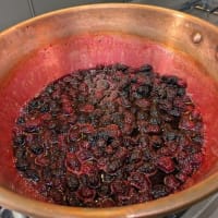 汚庭の桑の木で