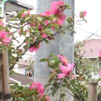 早く復帰できることを願う