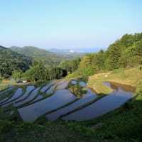 【　棚田の朝の風景　】