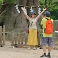 2025年7月6日（日）筑波山神社の風景、猛暑で熱中症予防の為か人では少なく目だが山好きは山頂を目指す