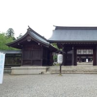 奈良発観光報告　④吉野山　⑤和歌山城