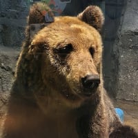 北海道６　北見から旭川
