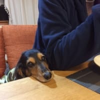 朝食前