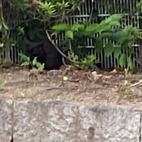 F社の会長が、和食Wを贔屓にしているんだよね。