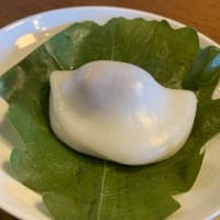 今日は「こどもの日」