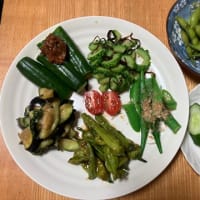 訪問の褒美嬉しき夏野菜
