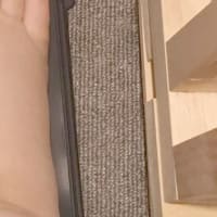 「女王アリ」工作のつづき