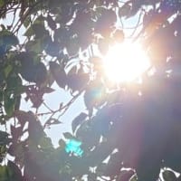 苦しみや痛みが いつまで続くのだろうと