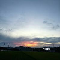６月25日水曜日、雨も降るが曇り空