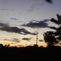 夕方の散歩