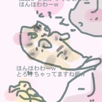 初夏の風言葉があっち行ってるの
