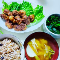 瞑想と環境問題