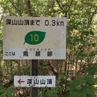 グループわらじ　第614回徒歩定例会「みちのく潮風トレイルⅣ　浜吉田駅～四方山～深山～山下駅」