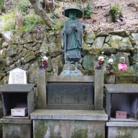 京都のあじさい寺 楊谷寺へ