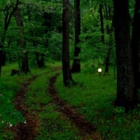 散策の風景