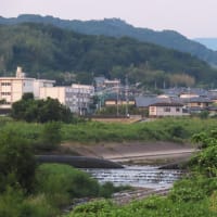 二上山の日の出～川西大橋上流部　石川左岸３　２０２５．６