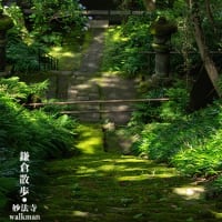久しぶりの鎌倉。