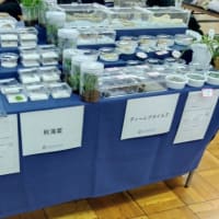 アクアリウムバス無事に終了いたしました。