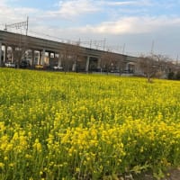 こんにちは