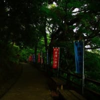 唐沢山神社の花手水を記録してきました。