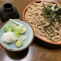 誰にも止められない。止められるなら、こんな風に狂わなかった。止められるなら、自分の手で、あの記憶を、あの想いを、あの光を、殺しはしなかった。