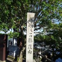 2024年５月　京都旅行　1日目　鴨川をどり・嵐山
