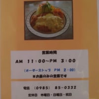 「御食事処 ちよ」で特派員2号がランチ