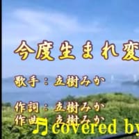 ♬今度生まれ変われたら/ 立樹みか // kazu宮本