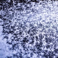 無が八分欲が二分にて霜に発つ