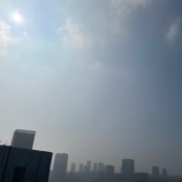 7/8の朝の空