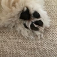 今日の出来事