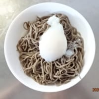 肺活