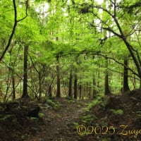 久々の山行、それは人生の縮図だった... Part 1