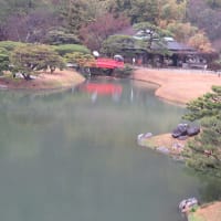 　栗林公園周遊、平賀源内記念館と平賀源内旧邸、見学 。　四国周遊 。