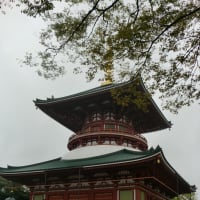 成田山新勝寺探訪記。