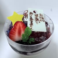 ◆プチプランス／彦星◆