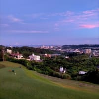 夏至が過ぎて・・。
