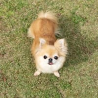 GWコテージ記　最終日とおやつ🧁🍩