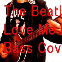 Love Me Do (The Beatles) Bass cover w/Pro Martin Violin Bass Made in Japan