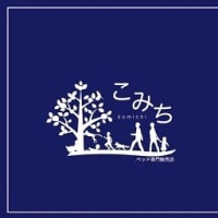 【たった今スタート】7月1日　0時～　こみち設立記念祭　開催！