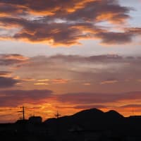 じないまちの夜明け　２０２５．６