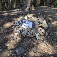 蕨山　北東尾根からアカヤシオ