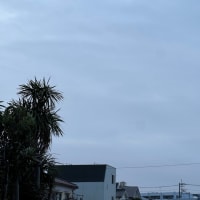 今朝の空(4月8日)