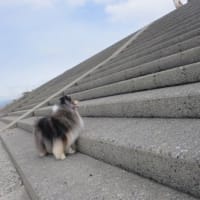 特に変わりなしでして・・・